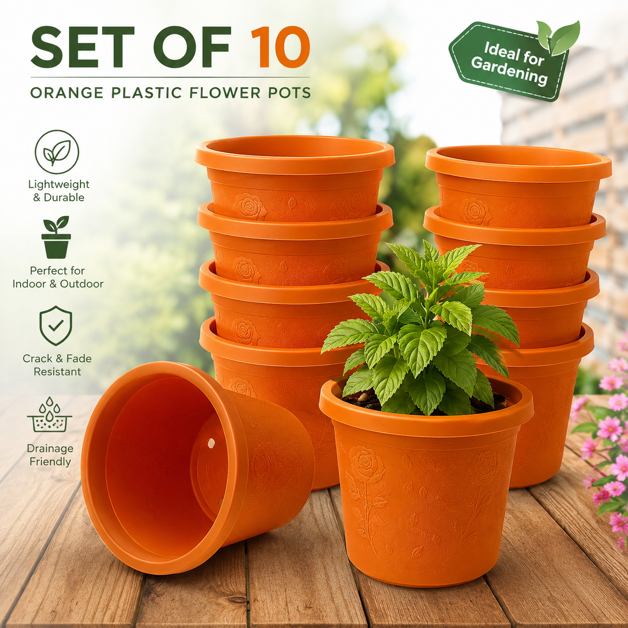10-Pack Premium Flower Pots