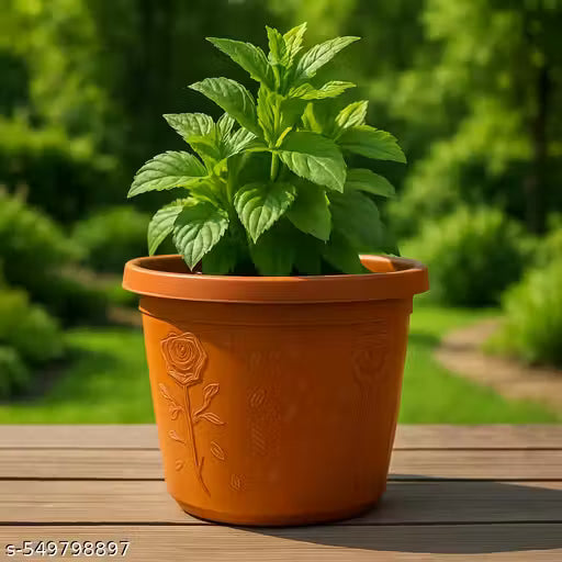 10-Pack Premium Flower Pots